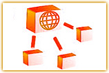 Professional Business Document Translation Services